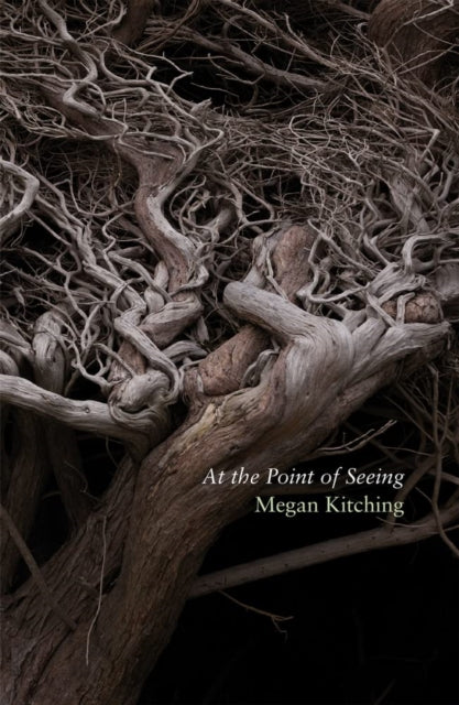 Book cover of: At the Point of Seeing. By: Megan Kitching