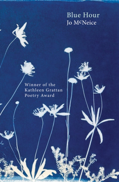 Book cover of: Blue Hour