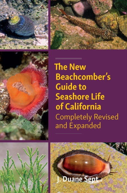 Book cover of: New Beachcombers Guide to Seashore Life of Californi. By: J. Duane Sept