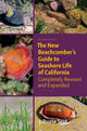 Book cover of: New Beachcombers Guide to Seashore Life of Californi. By: J. Duane Sept