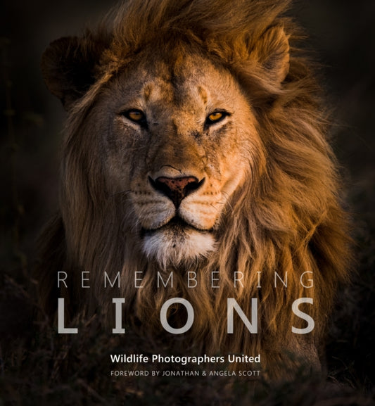 Book cover of: Remembering Lions. By: Margot Raggett / Wildlife Photographers United