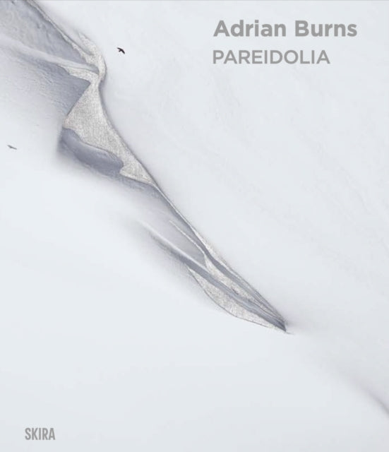 Book cover of: Pareidolia: Adrian Burns (Bilingual edition). By: Adrian Burns