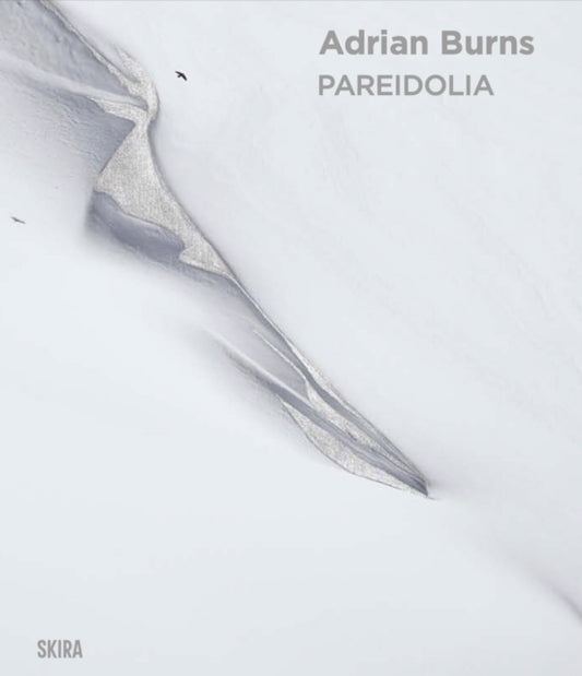 Book cover of: Pareidolia: Adrian Burns (Bilingual edition). By: Adrian Burns