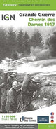 Book cover of: Chemin des Dames - 1917 Grande Guerre