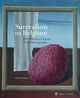 Book cover of: Surrealism in Belgium. By: Xavier Canonne