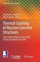 Book cover of: Thermal Cracking of Massive Concrete Structures. By: Eduardo M. R. Fairbairn