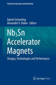 Book cover of: Nb3Sn Accelerator Magnets. By: Daniel Schoerling