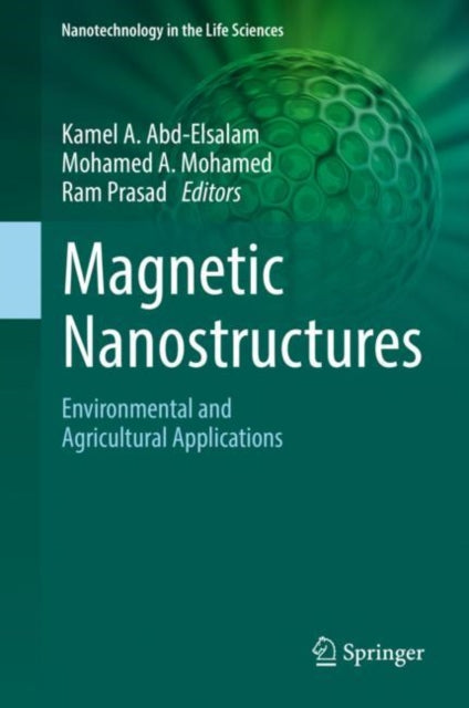 Book cover of: Magnetic Nanostructures. By: Kamel A. Abd-Elsalam
