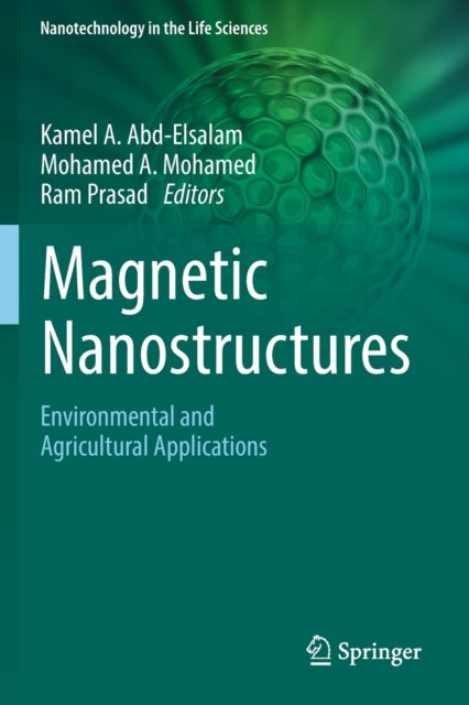 Book cover of: Magnetic Nanostructures. By: Kamel A. Abd-Elsalam