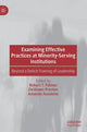 Book cover of: Examining Effective Practices at Minority-Serving Institutions. By: Robert T. Palmer