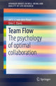 Book cover of: Team Flow. By: Jef J.J. van den Hout