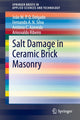 Book cover of: Salt Damage in Ceramic Brick Masonry. By: João M.P.Q. Delgado