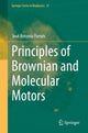 Book cover of: Principles of Brownian and Molecular Motors. By: José Antonio Fornés