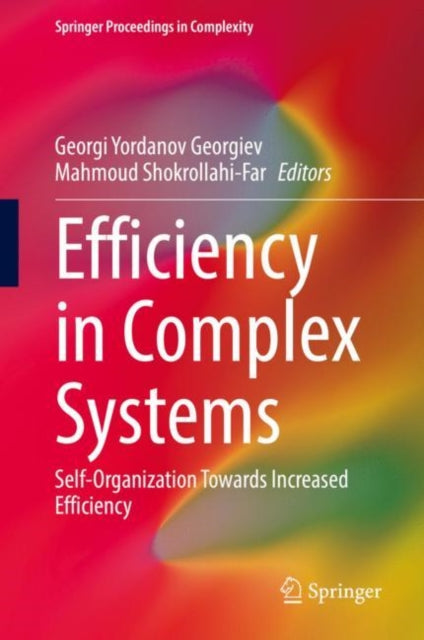 Book cover of: Efficiency in Complex Systems. By: Georgiev, Georgi