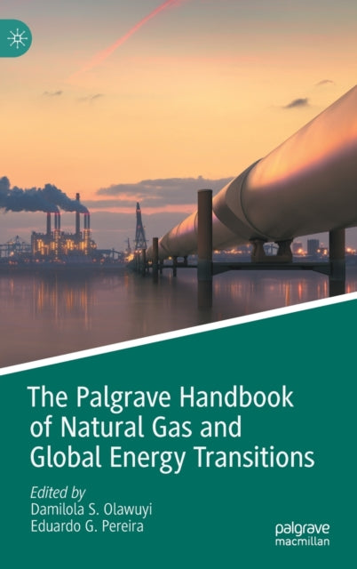 Book cover of: Palgrave Handbook of Natural Gas and Global Energy Transitions. By: Damilola S. Olawuyi