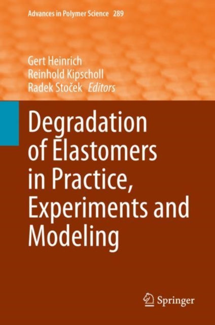 Book cover of: Degradation of Elastomers in Practice, Experiments and Modeling. By: Gert Heinrich