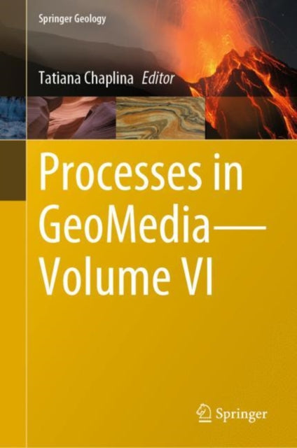 Book cover of: Processes in GeoMedia—Volume VI. By: Tatiana Chaplina