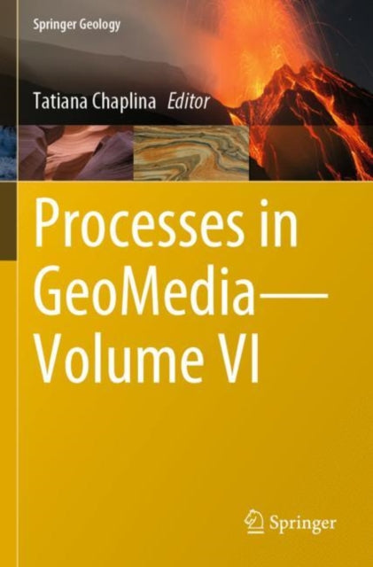 Book cover of: Processes in GeoMedia—Volume VI. By: Tatiana Chaplina
