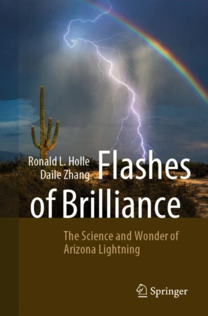 Book cover of: Flashes of Brilliance. By: Ronald Holle