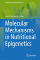 Book cover of: Molecular Mechanisms in Nutritional Epigenetics. By: Luis M. Vaschetto