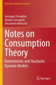 Book cover of: Notes on Consumption Theory