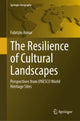 Book cover of: Resilience of Cultural Landscapes. By: Fabrizio Aimar