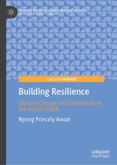 Book cover of: Building Resilience