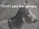 Book cover of: "Click", said the camera.. By: Markus Jakob