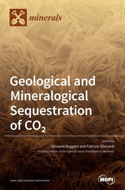 Book cover of: Geological and Mineralogical Sequestration of CO2