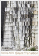 Book cover of: Georg Aerni - Silent Transition. By: Peter Pfrunder