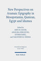 Book cover of: New Perspectives on Aramaic Epigraphy in Mesopotamia, Qumran, Egypt and Idumea. By: Aren M. Maeir