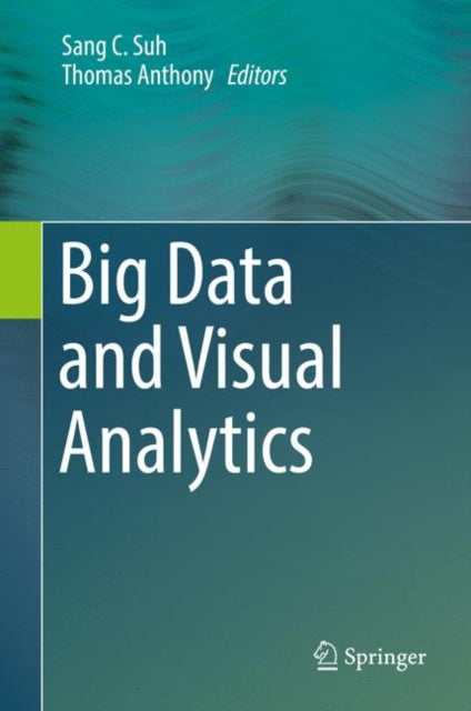 Book cover of: Big Data and Visual Analytics