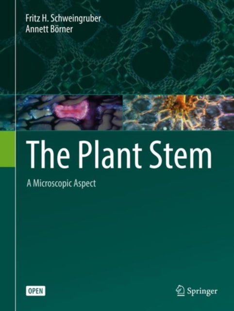 Book cover of: Plant Stem. By: Maurice B. Mittelmark