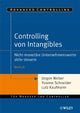 Book cover of: Controlling von Intangibles. By: Jurgen Weber
