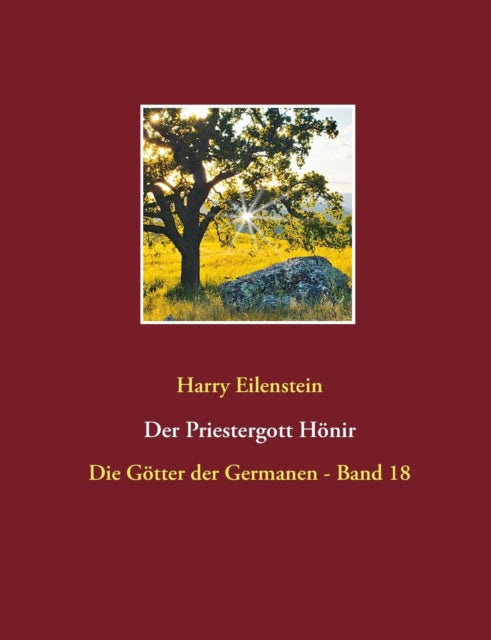 Book cover of: Priestergott Honir