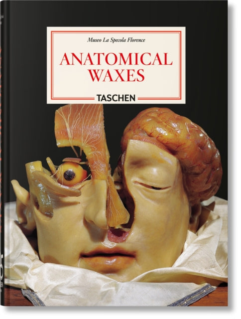 Book cover of: Anatomical Waxes. 45th Ed.