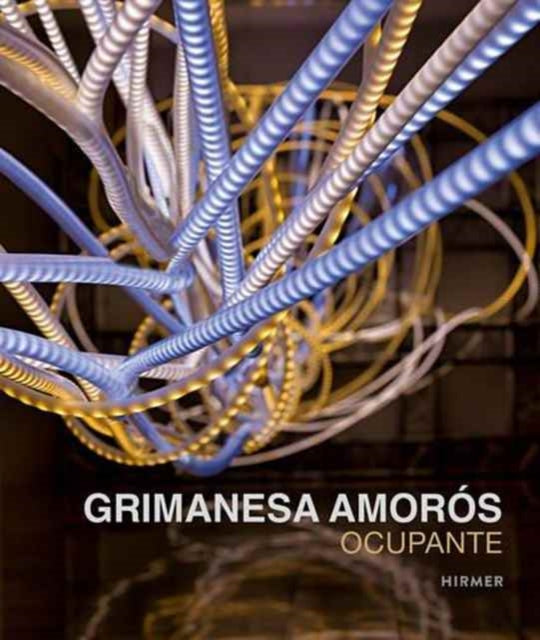 Book cover of: Grimanesa Amoros: Ocupante