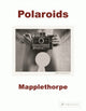 Book cover of: Robert Mapplethorpe. By: Sylvia Wolf