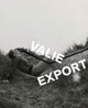 Book cover of: Valie Export. By: Walter Moser