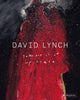 Book cover of: David Lynch. By: Stijn Huijts