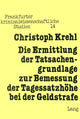 Book cover of: Die Ermittlung der Tatsachengrundlage zur Bemessung der Tagessatzhoehe bei der Geldstrafe