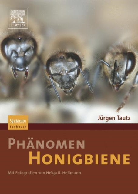 Book cover of: Phanomen Honigbiene