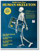 Book cover of: Build Your Own Human Skeleton