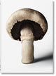 Gourmand's Mushroom