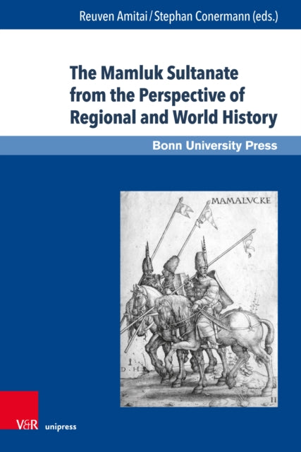 Book cover of: Mamluk Sultanate from the Perspective of Regional and World History. By: Reuven Amitai