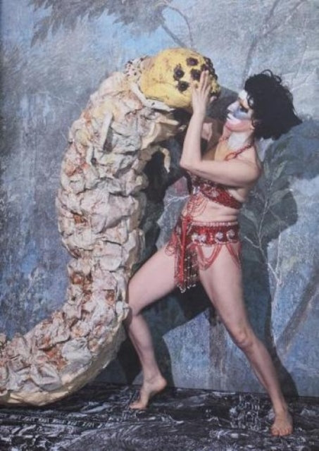 Book cover of: Supreme Deluxe Essential Monster Chetwynd Handbook. By: Monster Chetwynd