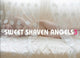 Book cover of: Sweet Shaven Angels 3