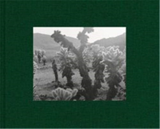 Book cover of: Diana Michener: Trance. By: Diana Michener