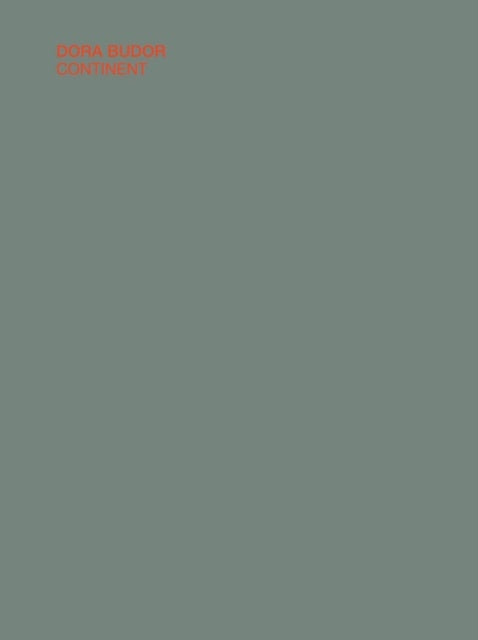 Book cover of: Dora Budor. By: Richard Birkett