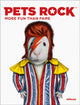 Book cover of: Pets Rock. By: Takkoda